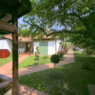 Fekete Gólya XL Tiszafüred (3)