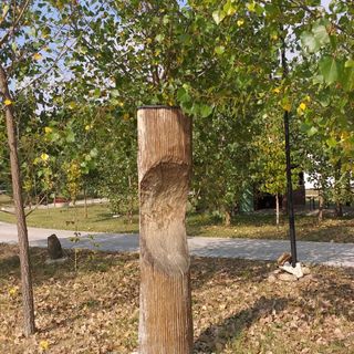 Modern Művész Szállás & Pihenőpark Gyömrő (4)