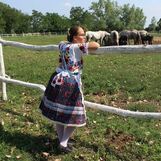 Szigeti Farm Szakmár (4)