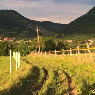 Kiss Apartman Uppony (3)