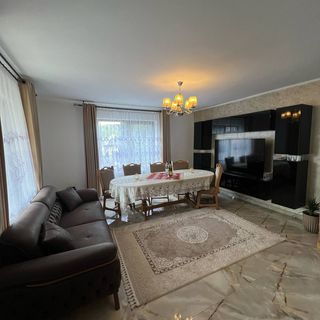 Pensiunea Bud Mariana Oncești (3)