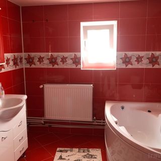 Pensiunea Carmina Iacobeni (3)