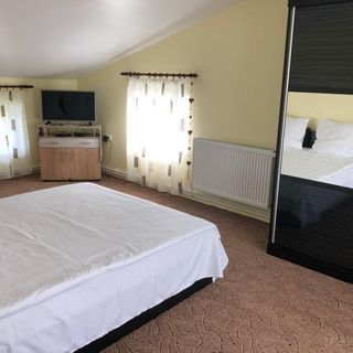 Pensiunea Carmina Iacobeni (4)