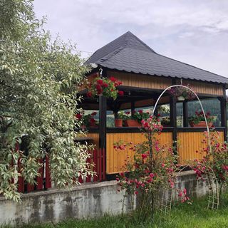 Pensiunea Carmina Iacobeni (5)