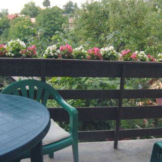 Casa Kelemen Sovata (2)