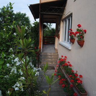 Casa Kelemen Sovata (3)