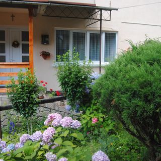 Casa Kelemen Sovata (4)