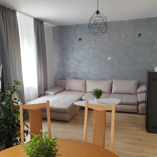 Casa de vancanta Popa's Sovata (4)