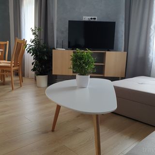 Casa de vancanta Popa's Sovata (5)