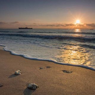 Vila Cris Mamaia Nord (5)