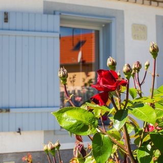 Boróka Apartmanház Hárskút (2)