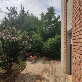 Diófa Vendégház Igal (4)