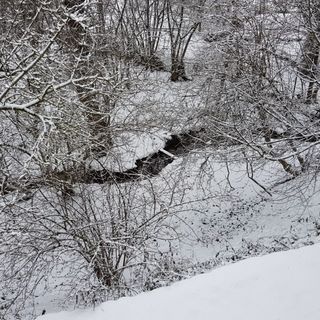 Erdőszéli Vendégház Pilisszentlászló (3)