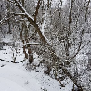 Erdőszéli Vendégház Pilisszentlászló (4)