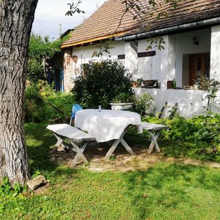 Anno Vendégház Zebegény (5)