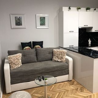 Kaktusz Apartman Szeged (5)