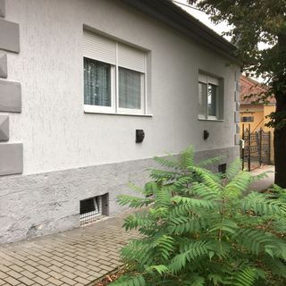 Dombi Porta Erdőbénye (4)