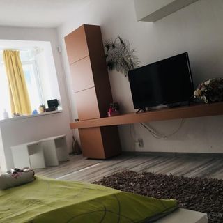 Garsoniera Miky Deva (2)