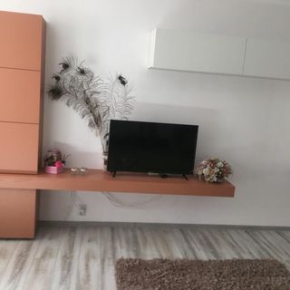 Garsoniera Miky Deva (4)