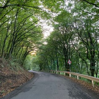 Irma-forrás Vendégház Verőce (2)