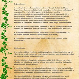 Borostyán Apartmanház Hajdúnánás (5)