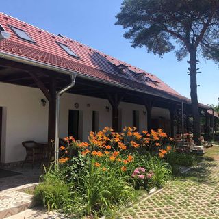 Tündér Porta Galgahévíz (2)