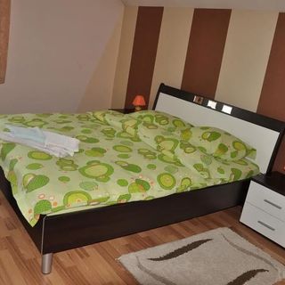 Casa Alex Vișeu de Sus (4)