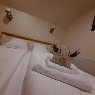 Pensiunea Poiana Avrigului Avrig (4)