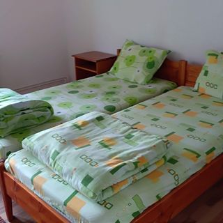 Casa de oaspeți Kalman Sovata (3)