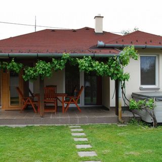 Villa RedWings Dunapataj (2)