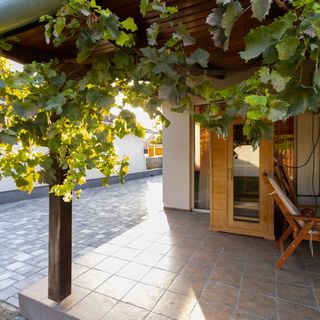 Villa RedWings Dunapataj (5)