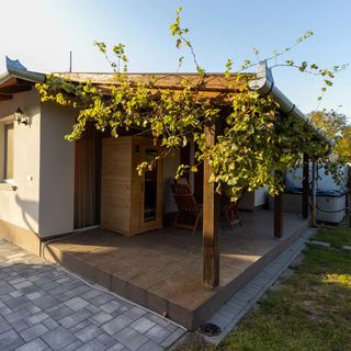 Villa RedWings Dunapataj (4)