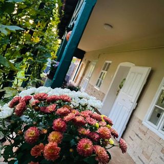 Lugas Vendégház Tótkomlós (5)