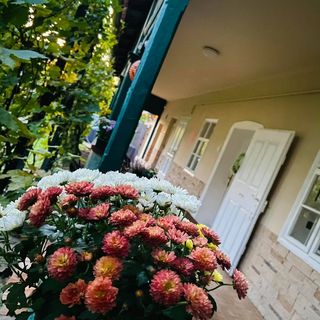 Lugas Vendégház Tótkomlós (5)