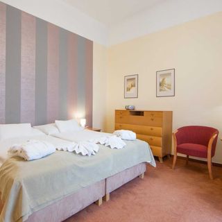 MONTI SPA HOTEL Františkovy Lázně (5)