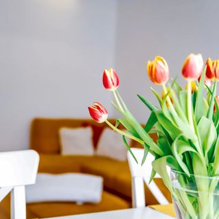 Cozy Apartman Győr (5)