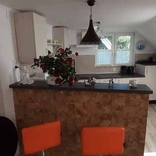 Raza Soarelui Apartament Sovata (2)