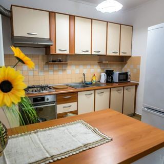 Apartament D&O Zola Timișoara (5)