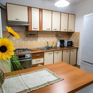 Apartament D&O Zola Timișoara (5)
