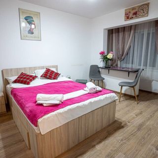 Apartament D&O Meziad Timișoara (2)