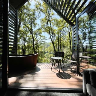 Fekete Rigó Noszvaj (2)