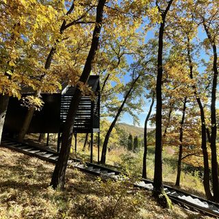 Fekete Rigó Noszvaj (5)