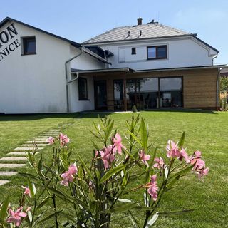 Penzion 411 Solnice (3)