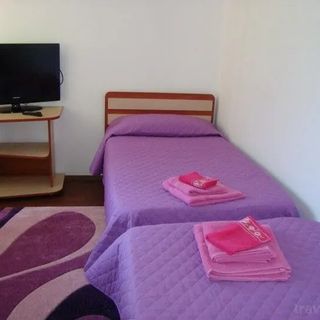 Green House Schitu Golești (3)