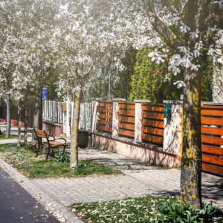 Villa Oliver 1 Hévíz (5)