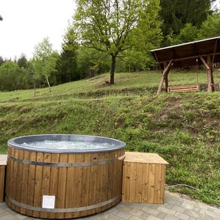 Casa de oaspeți Transylwonder Șicasău (4)