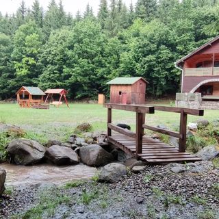 Cabana Súgótöve Izvoare (4)