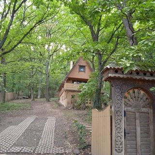 Őzike Lak Kismaros (4)