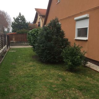 Kovács Apartment Balatonboglár (5)