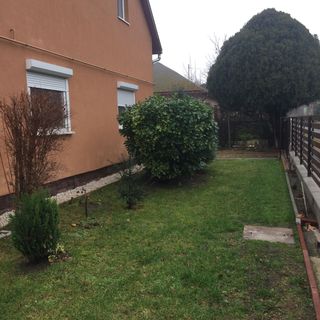 Kovács Apartment Balatonboglár (4)